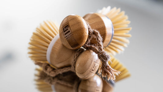 ESNTL LVG Eco-friendly scrubbing tools green cleaning solutions