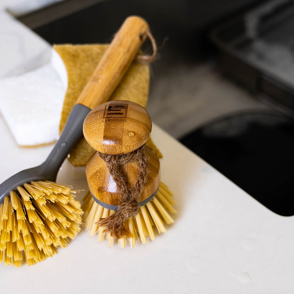 ESNTL LVG Scrubbing brush and eco friendly solutions